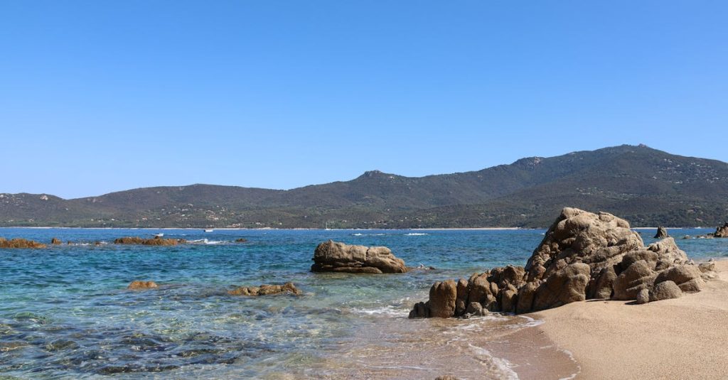 découvrez les meilleurs resorts de plage en corse pour des vacances inoubliables entre mer turquoise et paysages idylliques.