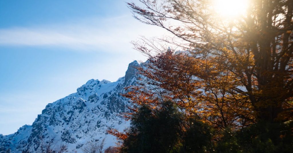 découvrez la meilleure saison pour visiter l'argentine et profitez pleinement de ses paysages, sa culture et son climat unique tout au long de l'année.