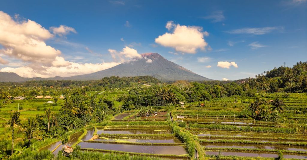 découvrez l'aventure incroyable des sidemen à bali, entre paysages paradisiaques, défis amusants et moments inoubliables.