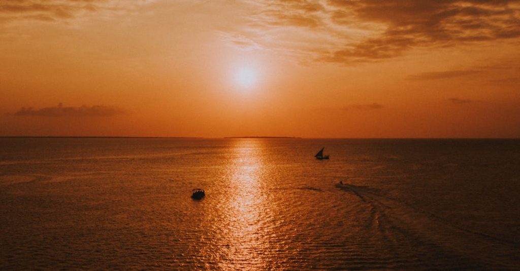 découvrez un itinéraire de voyage complet pour explorer la tanzanie et zanzibar, incluant les meilleures activités, hébergements et conseils pour un séjour inoubliable.