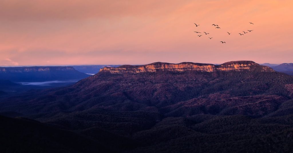 découvrez les blue mountains, une région spectaculaire offrant des paysages à couper le souffle, des sentiers de randonnée pittoresques et une faune diversifiée, idéale pour les amoureux de la nature et d'aventure.