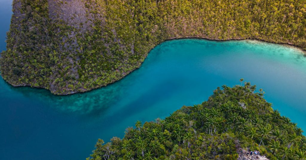 découvrez les îles indonésiennes, un archipel paradisiaque offrant plages idylliques, richesses culturelles uniques et aventures inoubliables au cœur de l'asie du sud-est.