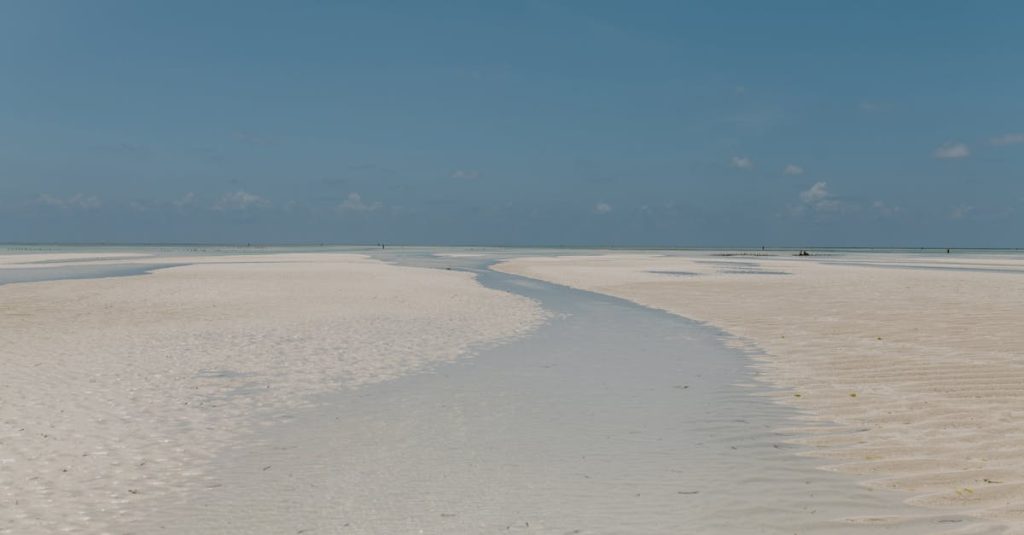 découvrez matemwe, un village paisible et authentique sur la côte est de zanzibar, idéal pour des vacances entre plages paradisiaques, culture locale et nature préservée.