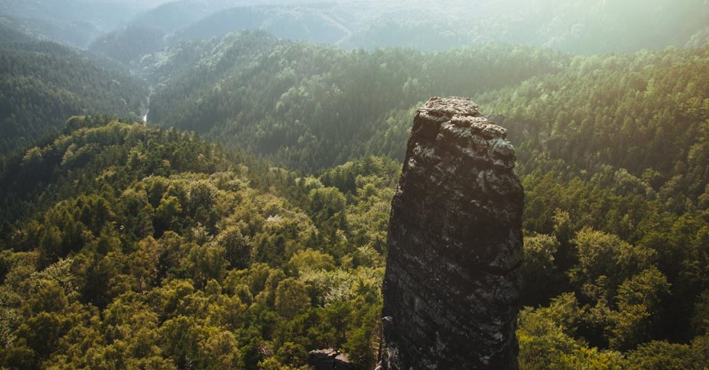 découvrez les merveilles naturelles à travers nos sites emblématiques, véritables joyaux du patrimoine naturel à explorer et préserver.