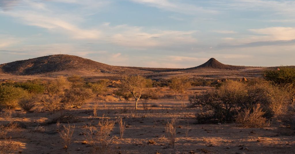découvrez palmwag, une destination unique en namibie réputée pour sa faune sauvage spectaculaire et ses paysages à couper le souffle.