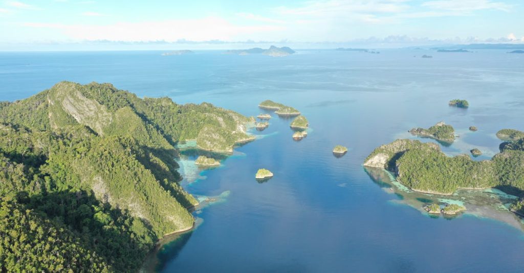 découvrez les îles raja ampat, un paradis tropical en indonésie réputé pour ses plages paradisiaques, ses récifs coralliens exceptionnels et sa biodiversité marine unique.