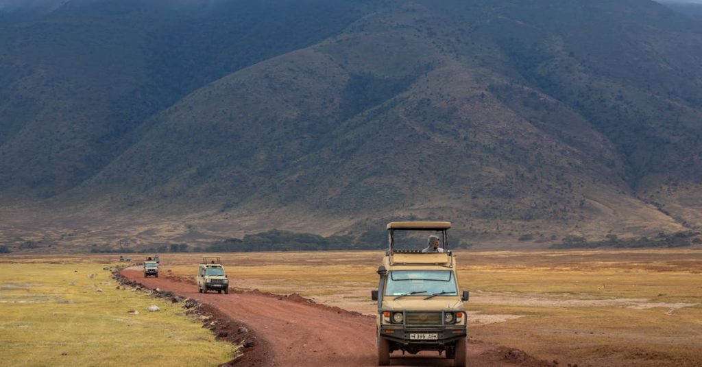 découvrez notre collection de vêtements de safari alliant confort et style pour vos aventures en pleine nature.