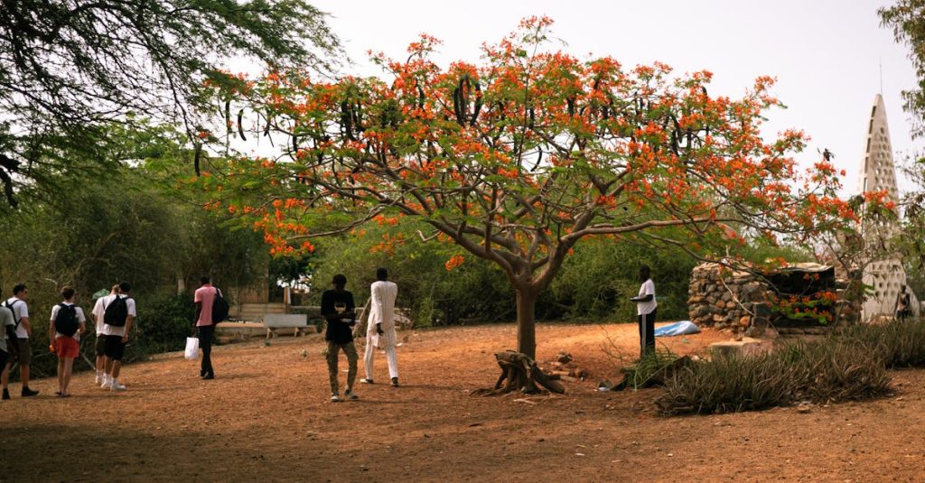 découvrez les meilleures routes de voyage au sénégal pour explorer ses paysages, sa culture et ses attractions incontournables en toute sérénité.