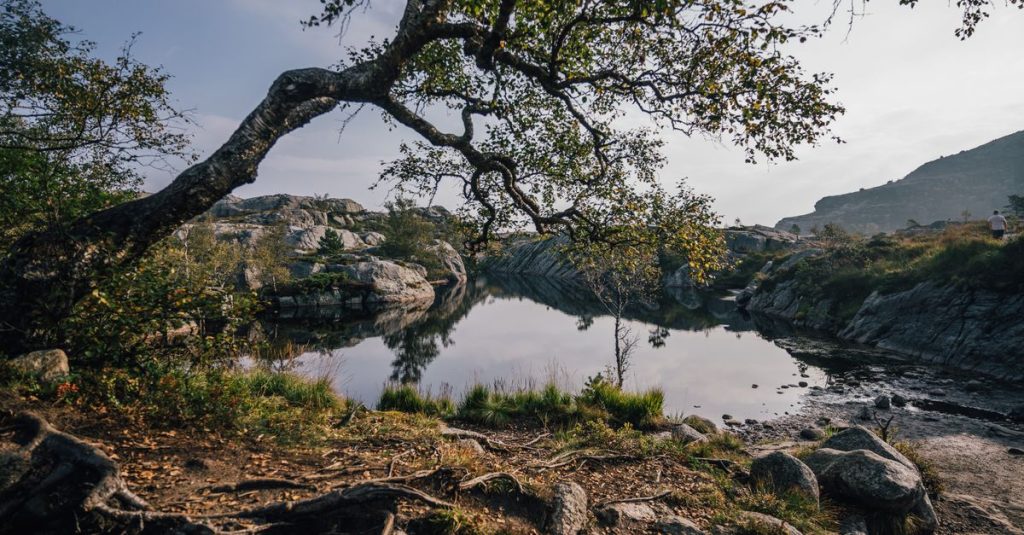 découvrez preikestolen, la célèbre falaise norvégienne offrant des vues spectaculaires sur le fjord de lysefjord. parfait pour les amateurs de randonnée et de nature.