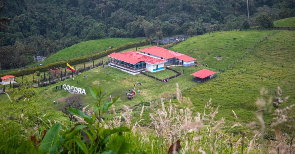 Découvrir la vallée de cocora en colombie, un joyau naturel à explorer 9 découvrez la vallée de cocora, un site naturel spectaculaire en colombie célèbre pour ses palmiers de cire imposants et ses paysages à couper le souffle. parfait pour les amoureux de la nature et les randonneurs.