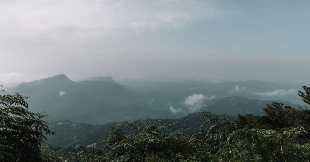 découvrez haputale, une destination pittoresque au sri lanka offrant des paysages à couper le souffle, des plantations de thé verdoyantes et une atmosphère paisible idéale pour les amoureux de la nature.