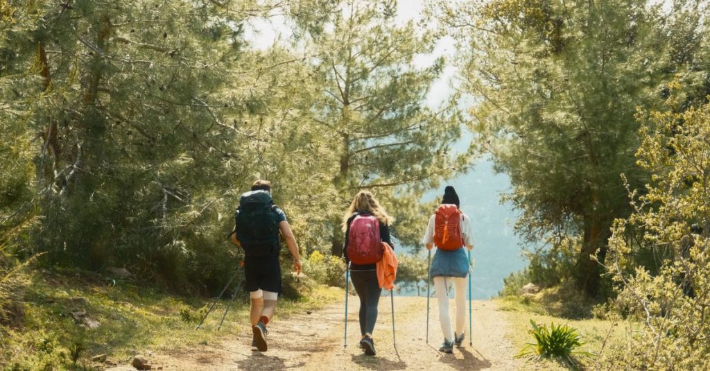 découvrez les meilleures astuces et destinations pour la randonnée, que vous soyez débutant ou expert. explorez la nature et profitez pleinement de vos randonnées.