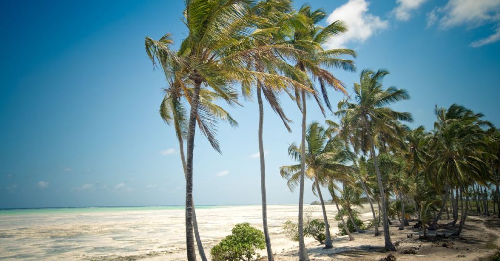 Découvrir jambiani à zanzibar : plages, culture et activités incontournables 2 découvrez jambiani, un charmant village de pêcheurs situé sur la côte est de zanzibar, réputé pour ses plages de sable blanc, ses eaux turquoise et son ambiance authentique.