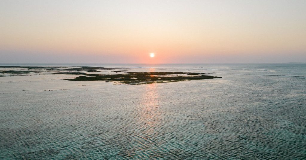 Découvrir mnemba island zanzibar, un paradis pour les amoureux de la nature 10 découvrez l'île mnemba, un paradis tropical préservé réputé pour ses plages de sable blanc, ses eaux turquoise et sa biodiversité marine exceptionnelle, idéal pour la plongée et la détente.