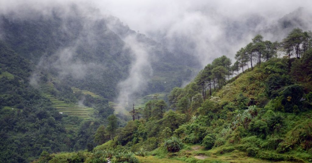 découvrez les spectaculaires rizières en terrasses de luzon, philippines, un chef-d'œuvre naturel et culturel inscrit au patrimoine mondial, offrant des paysages à couper le souffle et un aperçu de la vie traditionnelle locale.