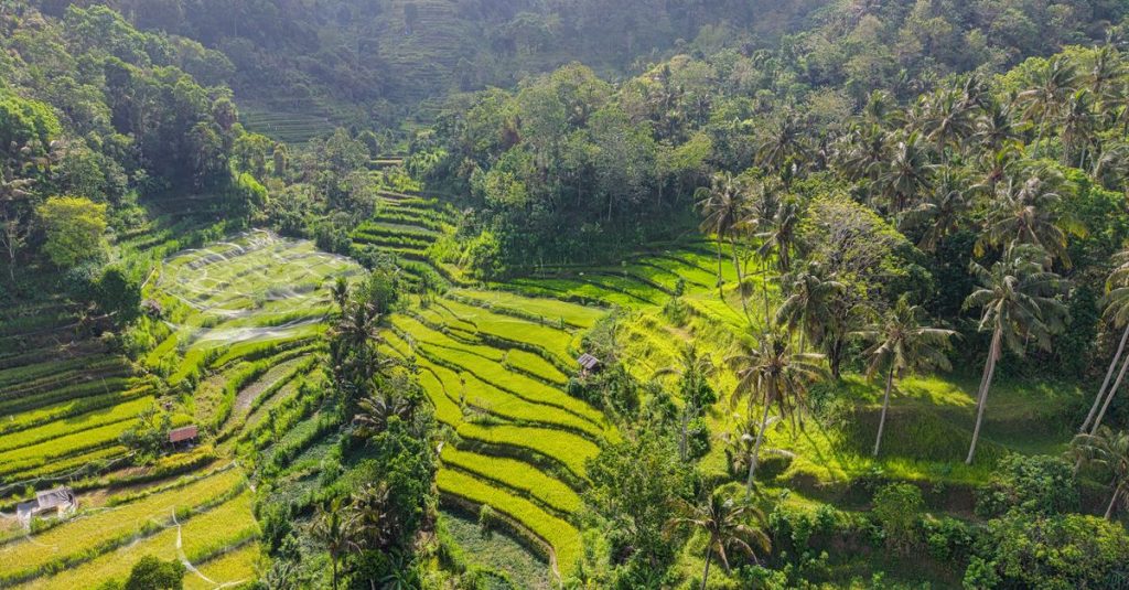 Itinéraire conseillé pour découvrir bali en une semaine 5 découvrez l'itinéraire parfait pour bali, avec les meilleures visites, plages, temples et conseils pour profiter pleinement de votre voyage en indonésie.