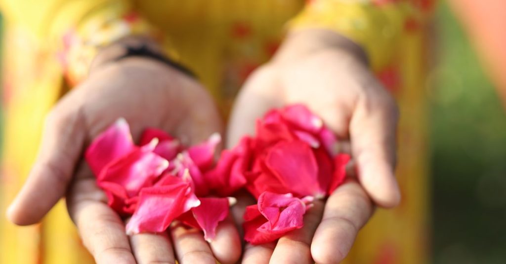 Découvrir la ville rose en inde : histoire, culture et attractions 1 découvrez la city of roses en inde, une destination réputée pour ses magnifiques jardins de roses, son patrimoine culturel et son ambiance paisible.