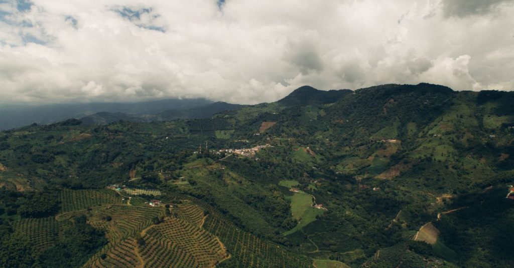 Découvrir le triangle café en colombie et ses saveurs uniques 8 découvrez le coffee triangle en colombie, une région célèbre pour ses plantations de café de haute qualité, son riche patrimoine culturel et ses paysages à couper le souffle.