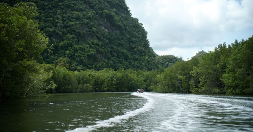 Que faire à langkawi pour une expérience inoubliable 3 découvrez les meilleures activités à langkawi : plages paradisiaques, sports nautiques, randonnées et explorations culturelles pour un séjour inoubliable.
