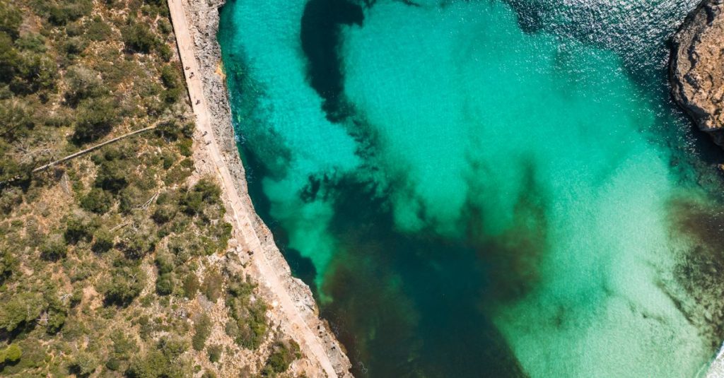 découvrez les meilleures activités à mallorca : plages paradisiaques, balades en nature, sports nautiques et visites culturelles pour tous les goûts.