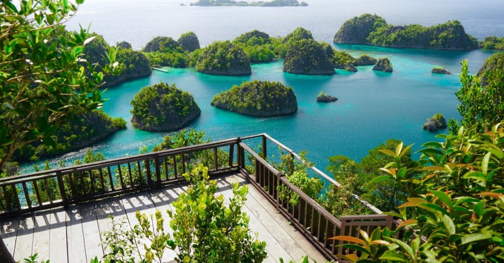 Découvrir les merveilles des îles raja ampat en papouasie occidentale 9 découvrez les îles raja ampat, un paradis tropical en indonésie réputé pour ses plages immaculées, ses récifs coralliens exceptionnels et sa biodiversité marine unique.