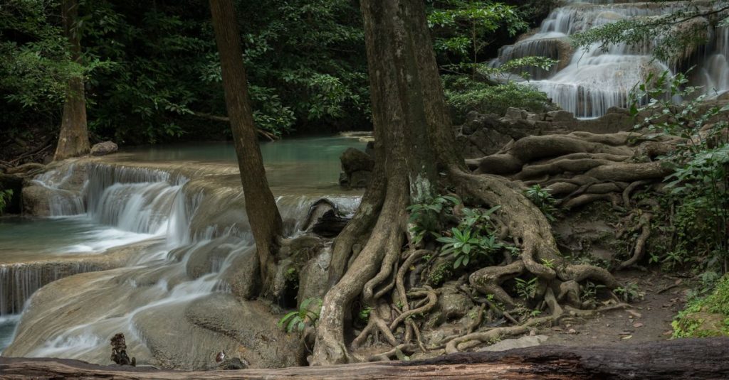 découvrez les cascades tad sae, un magnifique site naturel au laos offrant des eaux turquoise, des piscines naturelles et une nature luxuriante parfaite pour la baignade et l'aventure.