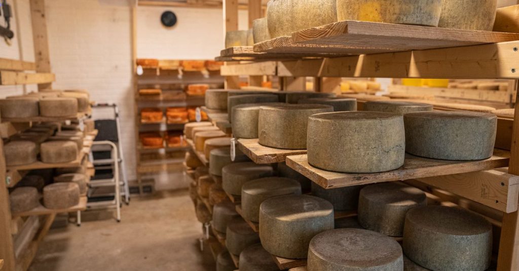 découvrez la route des fromages de savoie, un itinéraire gourmand à travers les paysages alpins pour savourer les spécialités locales comme le beaufort, la tomme de savoie et le reblochon.